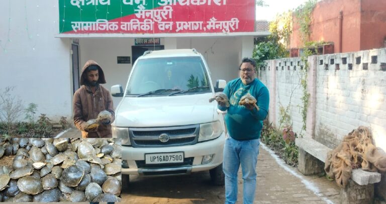 कछुए की तस्करी करने वाले गैंग का भंडाफोड़,दो गिरफ्तार