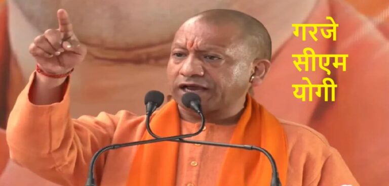 सीएम योगी का मिल्कीपुर विधानसभा की चुनाव सभा में विपक्ष पर कड़ा हमला