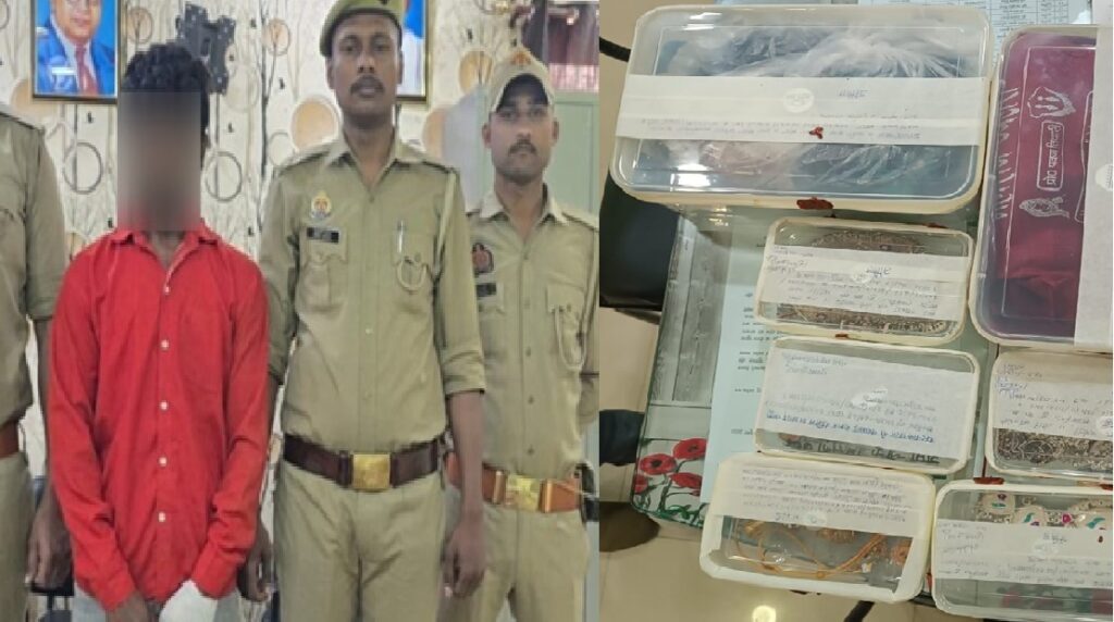 महिला को चाकू मारकर जेवरात लूटने वाला गिरफ्तार