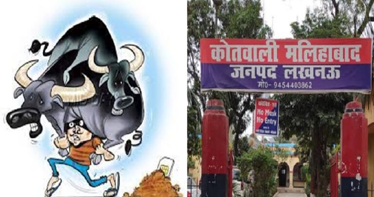 मलिहाबाद में भाजपा नेता के भैंस को घर से खोल ले गए चोर, पूरी वारदात सीसीटीवी में कैद