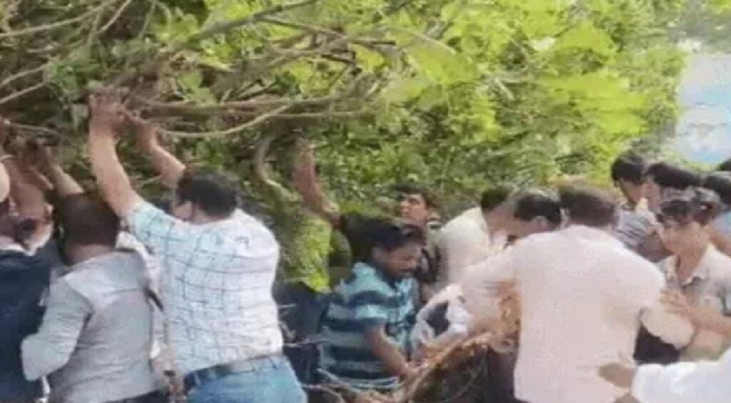 श्मशान में अंतिम विदाई से पहले कुदरत का कहर: शव पर गिरा 100 साल पुराना पेड़, मचा हड़कंप