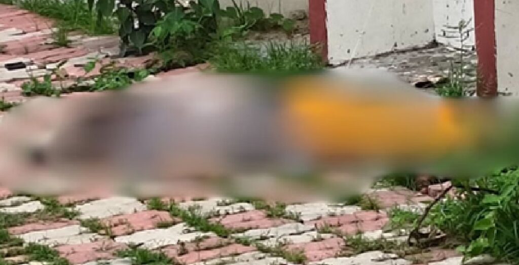 बीएचयू प्रोफेसर की पत्नी ने छठी मंजिल से कूदकर दी जान, डिप्रेशन में थीं महिला