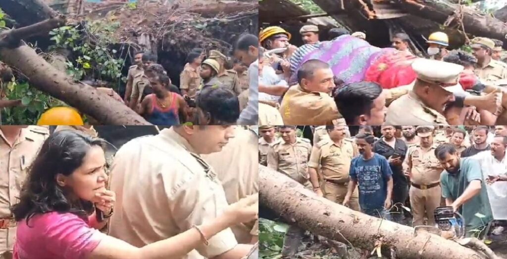 कैसरबाग इलाके में डेढ़ सौ साल पुराना पीपल का पेड़ गिरा, एक की मौत