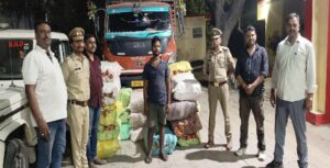 एसटीएफ की बड़ी कार्रवाई, ट्रक से 7.75 कुंतल गांजा बरामद, एक गिरफ्तार