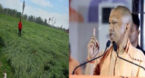 असमय बारिश पर सख्त CM योगी: किसानों के नुकसान का तुरंत सर्वे कर मुआवजा देने के निर्देश