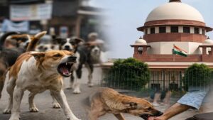 सुप्रीम कोर्ट का कड़ा रुख, खतरनाक आवारा कुत्तों को मारने तक की अनुमति