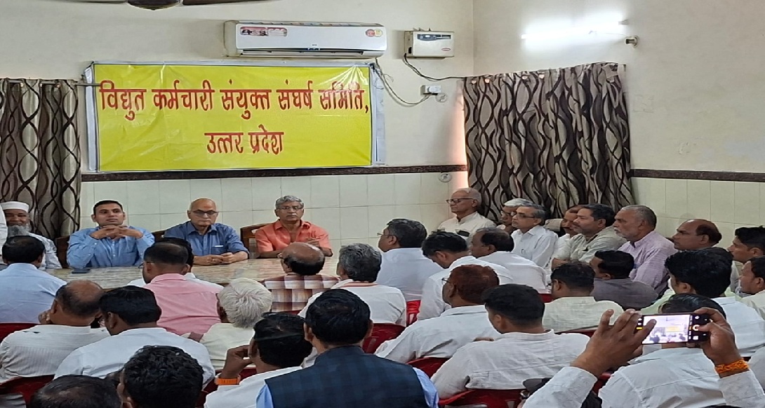 निजीकरण की राह में लागू वर्टिकल व्यवस्था पूरी तरह विफल