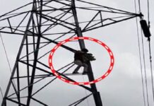 काकोरी में हाईटेंशन टावर पर चढ़ा 50 वर्षीय व्यक्ति, पुलिस-SDRF ने सकुशल नीचे उतारा