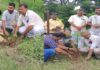 हरित भारत का संकल्प: मंगल भूमि फाउंडेशन के स्वयंसेवकों ने किया पौधरोपण, पर्यावरण संरक्षण का लिया संकल्प