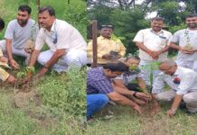 हरित भारत का संकल्प: मंगल भूमि फाउंडेशन के स्वयंसेवकों ने किया पौधरोपण, पर्यावरण संरक्षण का लिया संकल्प