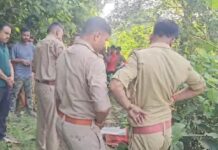 नहर की पटरी पर महिला की गला काटकर हत्या