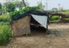 काली माता के स्थान पर बुजुर्ग की मौत, बांके से गला काटा