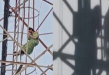 प्रेमी से शादी की जिद में मोबाइल टावर पर चढ़ी युवती, पांच घंटे तक अटकी रहीं सांसें